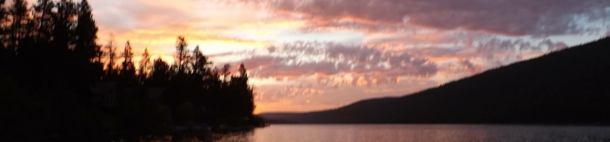 Refocus Advanced Recovery